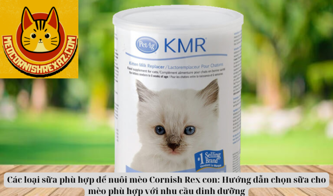 Các loại sữa phù hợp để nuôi mèo Cornish Rex con: Hướng dẫn chọn sữa cho mèo phù hợp với nhu cầu dinh dưỡng