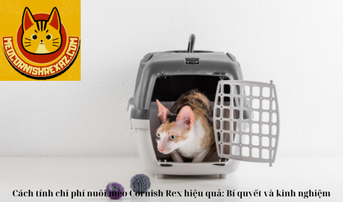 Cách tính chi phí nuôi mèo Cornish Rex hiệu quả: Bí quyết và kinh nghiệm